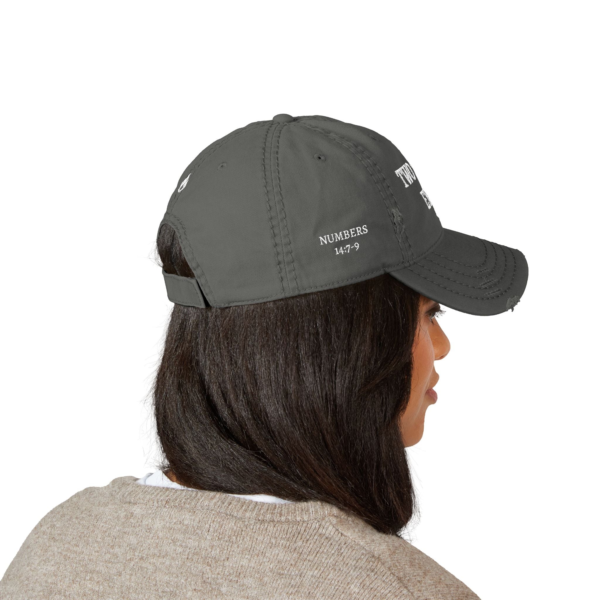 Two Spies Eyes | Numbers 14:9 - Embroidered Distressed Dad Hat