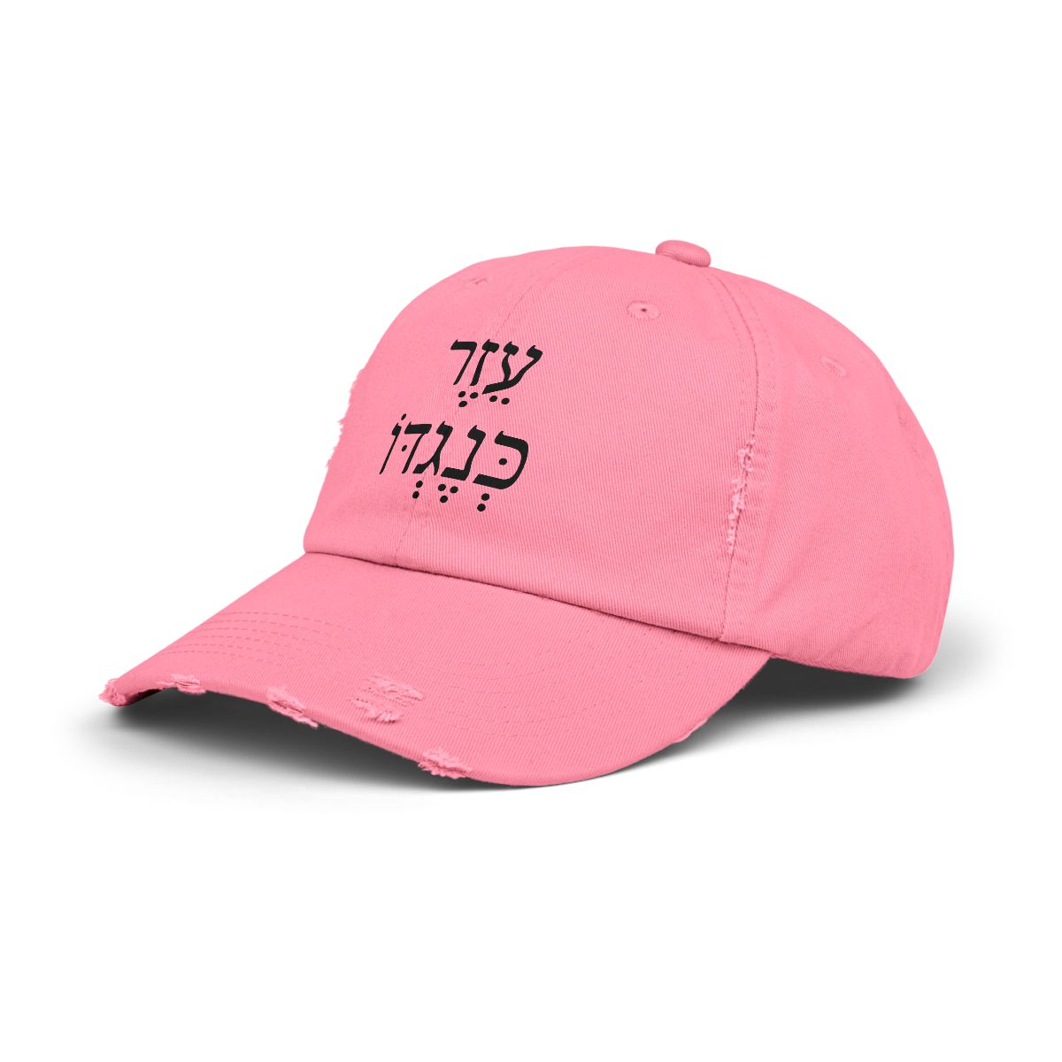 Ezer Kenegdo Distressed Cap - Hebrew עזר כנגדו (Genesis 2:18)