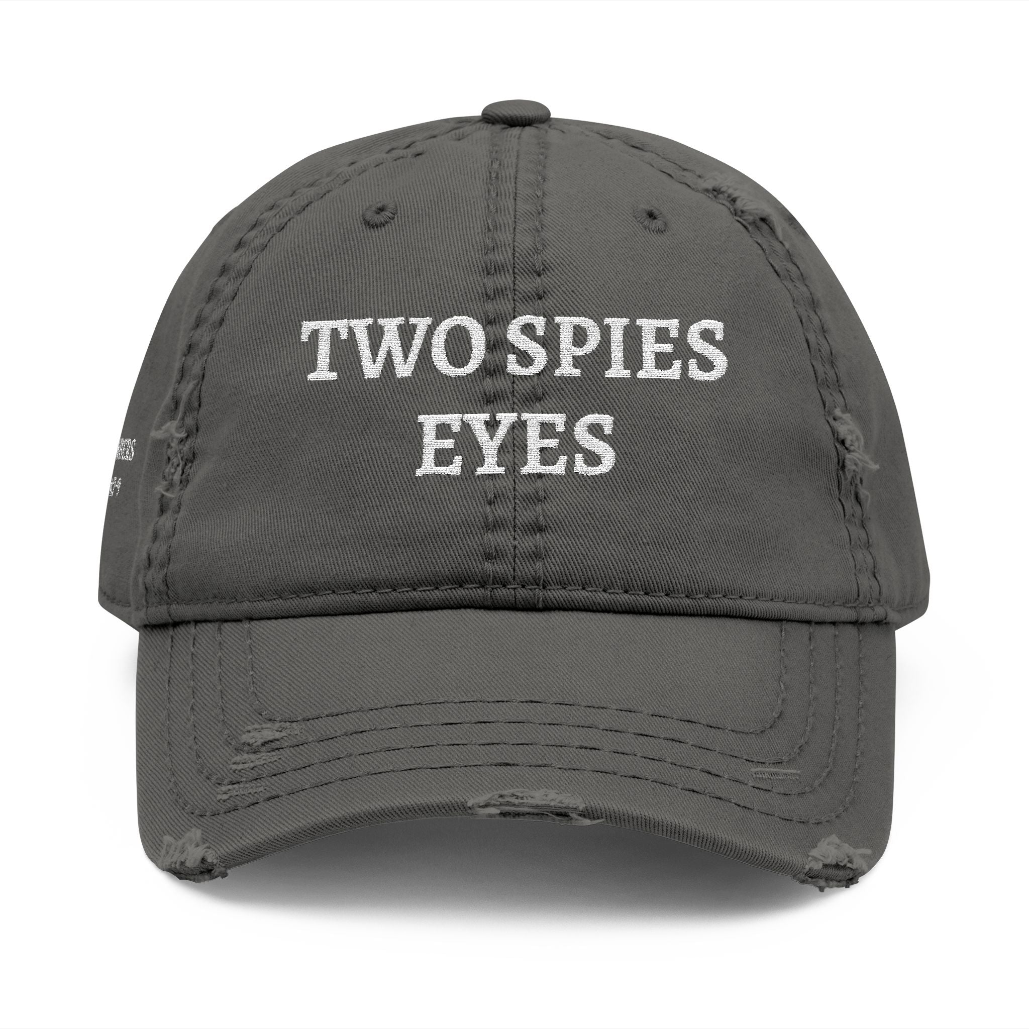 Two Spies Eyes | Numbers 14:9 - Embroidered Distressed Dad Hat